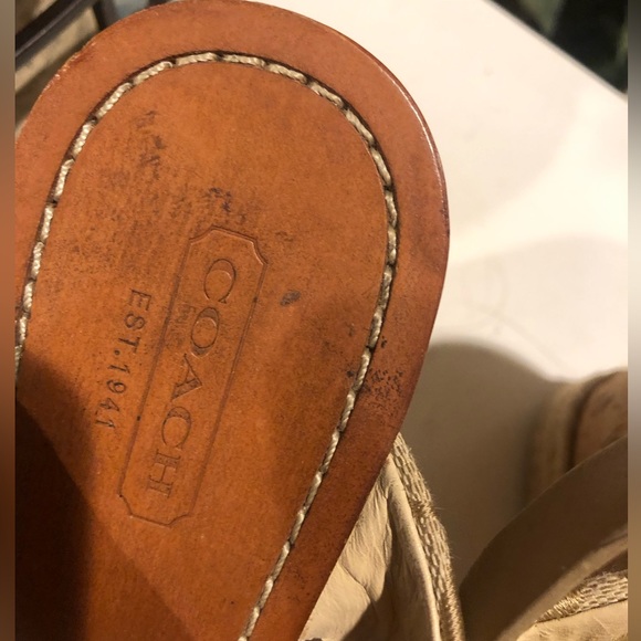 Coach - Picture 5 of 7